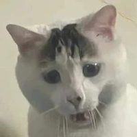 nubx._1