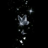 original sound - Black butterfly🦋