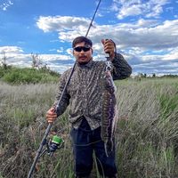 original sound - Chingta