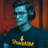 shwemm13