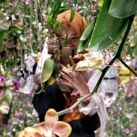 original sound - fershi