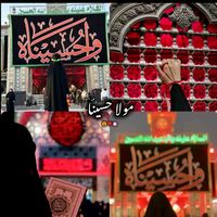 zawar.aliza