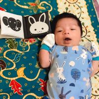 suara asli - 17Pisces🦄