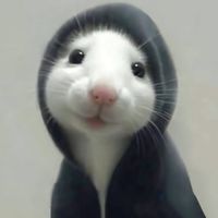 qiziqi_nakun