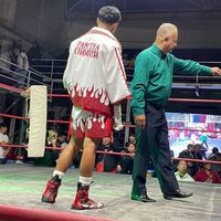 pantera_chavarria