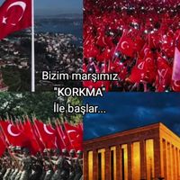 orijinal ses