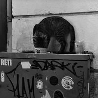 sonido original