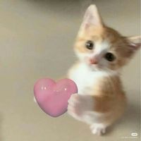 original sound - shllaaaa