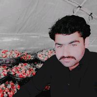 waheed8022