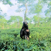 original sound - purnima_115
