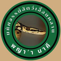 snake_housenakee