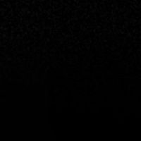 teamnegro___3
