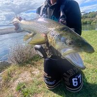 kai_mahi_taupo