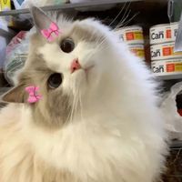 tammymnjtv1