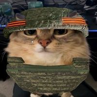 n9x.military