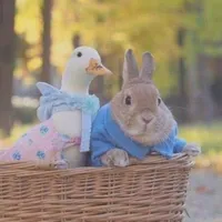 original sound - rain_rm