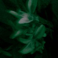 orxion_