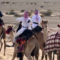 الصوت الأصلي