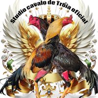 studiocavalodetroiaoficl