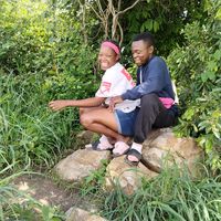 shanties_bae
