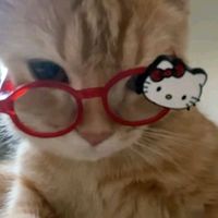 original sound - Hippo