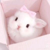 blogsnayiikos0