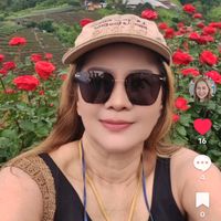 the.chiangmai.cp