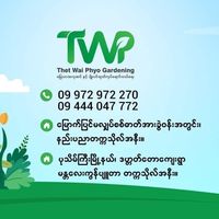 kywel.kywel7