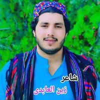 zain_ul_abedi_985