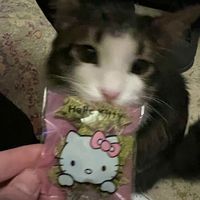userrnotfoundd7