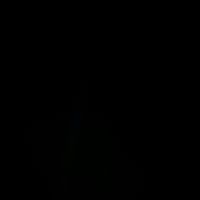 pau_tj