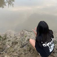 lingling160122