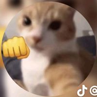 elpollon_deidad69