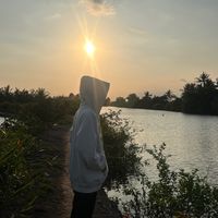 nhạc nền - Vịt vàng