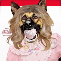 オリジナル楽曲 - ワンダコッタ【公式】