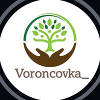 voroncovka01