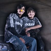 الصوت الأصلي