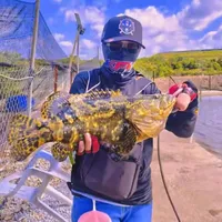 mancing jom mancing mancing