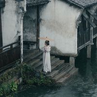 Nhầm Lẫn Loan Hoa Thành Quế Hoa