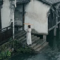 Ngỡ Loan Hoa Là Quế Hoa