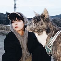 アップロード楽曲