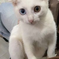 nhạc nền - Hưng pahm☄️