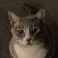 original sound - ⌯𓂅﹅