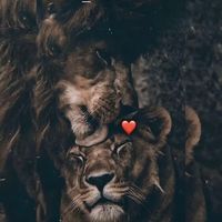 janaaaa268