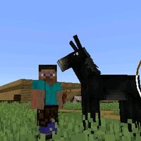 du__boi__oficial