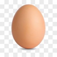 egger_00