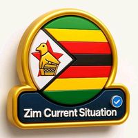 zim.current.situation