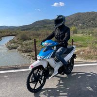 arbri_009