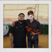 neto26bandido