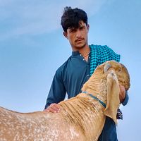 user776702647